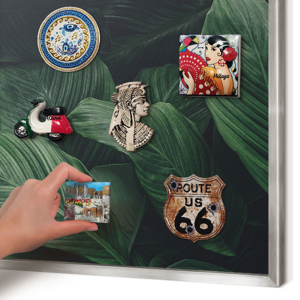 Tableau pour collection d'aimants cadre argenté La verdure de la nature