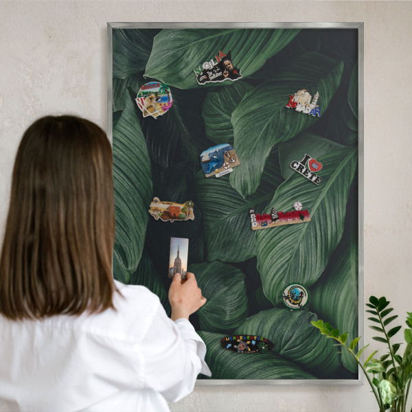Tableau pour collection d'aimants cadre argenté La verdure de la nature