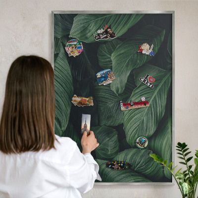 Tableau pour collection d'aimants cadre argenté La verdure de la nature
