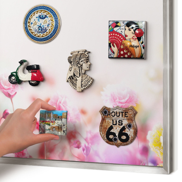 Tableau pour collection d'aimants cadre argenté Fleurs pastel