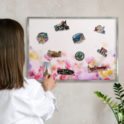 Tableau pour collection d'aimants cadre argenté Fleurs pastel