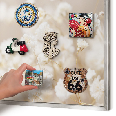 Tableau pour collection d'aimants cadre argenté Fleurs beiges