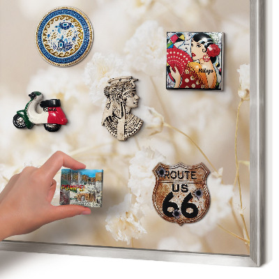 Tableau pour collection d'aimants cadre argenté Fleurs beiges