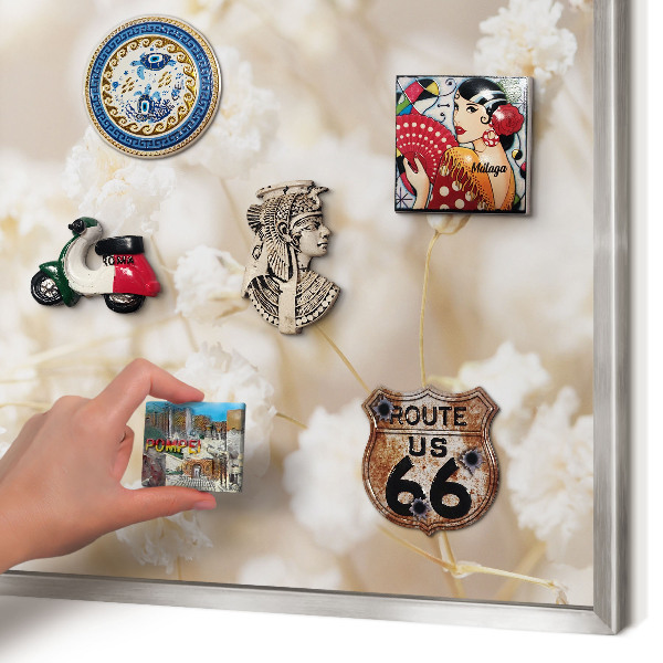 Tableau pour collection d'aimants cadre argenté Fleurs beiges