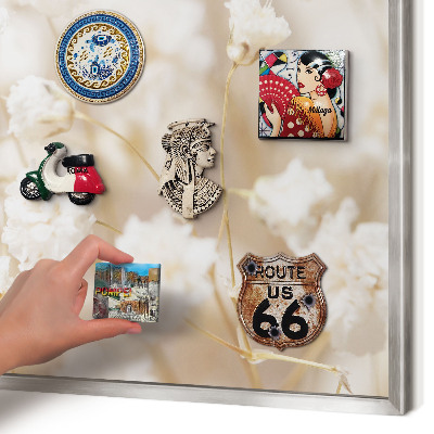 Tableau pour collection d'aimants cadre argenté Fleurs beiges