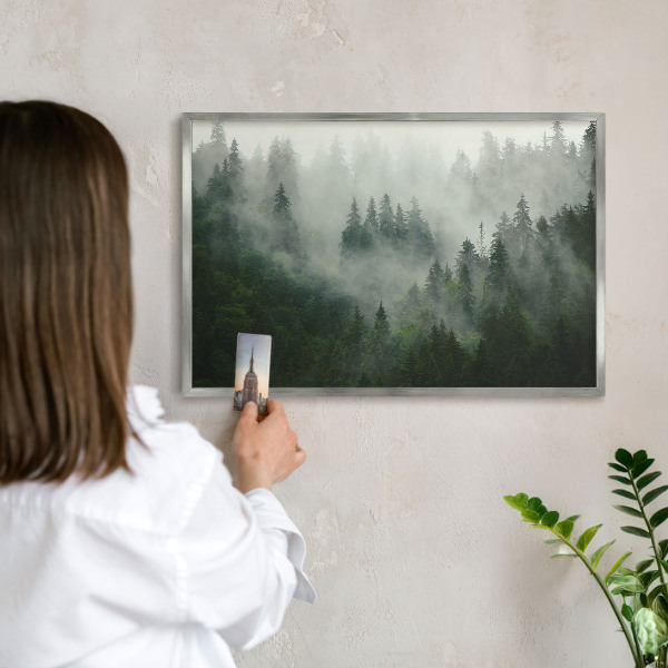 Tableau magnétique décoratif avec cadre argenté Magie de la forêt