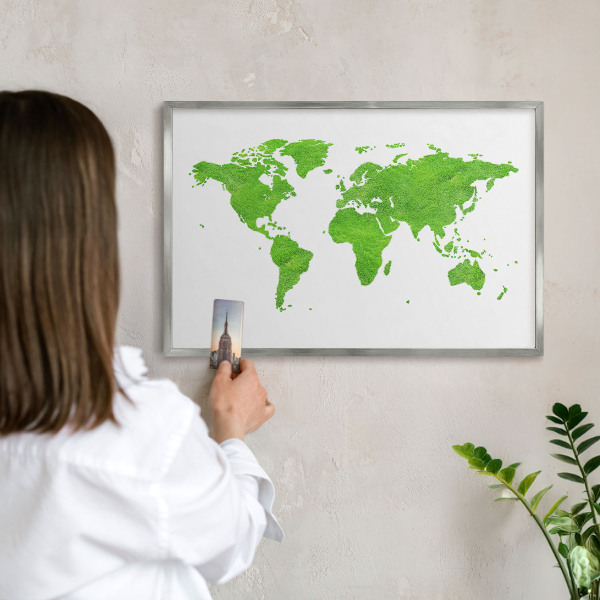 Tableau magnétique décoratif avec cadre argenté Carte verte
