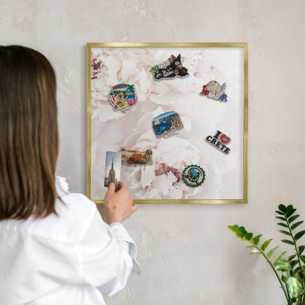 Tableau pour aimants cadre doré Pivoines blanches