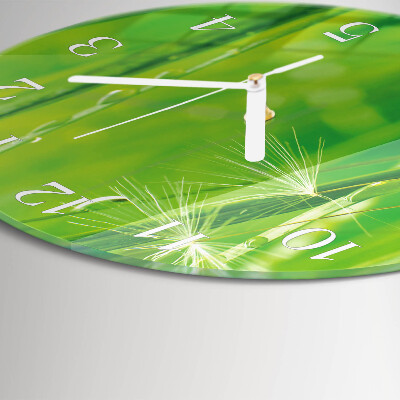 Horloge ronde Herbe
