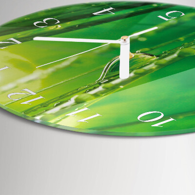Horloge ronde Gouttes d'herbe