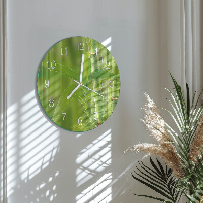 Horloge ronde Plante de bambou