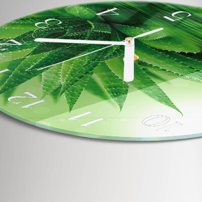 Horloge ronde Aloès