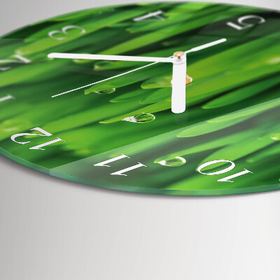 Horloge ronde Herbe