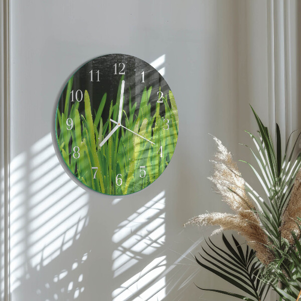 Horloge ronde Herbe