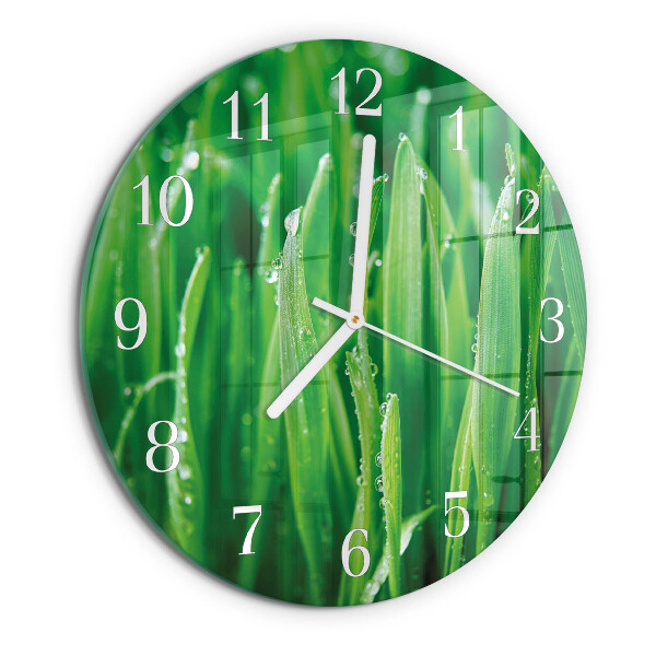 Horloge ronde herbe verte