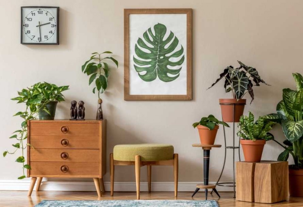 les meilleures plantes purificatrices d'air