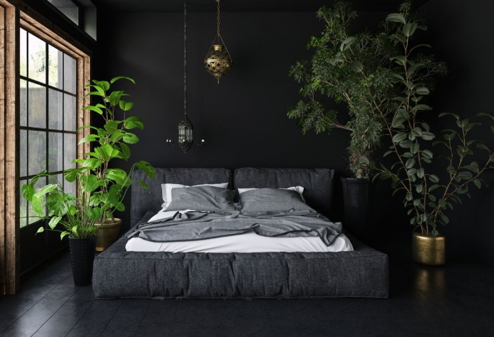 la couleur noire dans l'arrangement