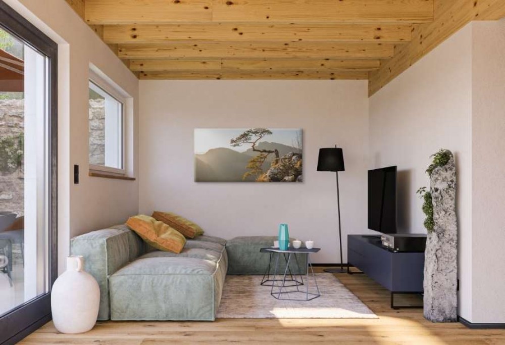 salon de style scandinave