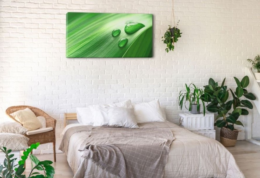 décorations d'appartements loués